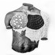 A man's torso in black and white collaged together from different textures