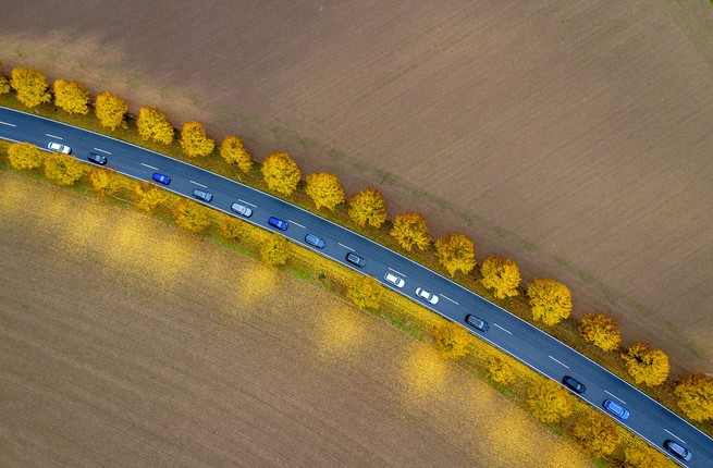 An aerial view of autumn leaves falling from trees that line a road near Frankfurt, Germany 