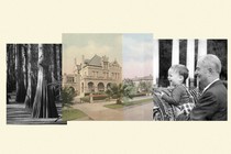 Collage of three photos: Big trees on the left, an illustration of a mansion in the middle, and a father and son on the right.