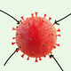 Four arrows point at a red coronavirus