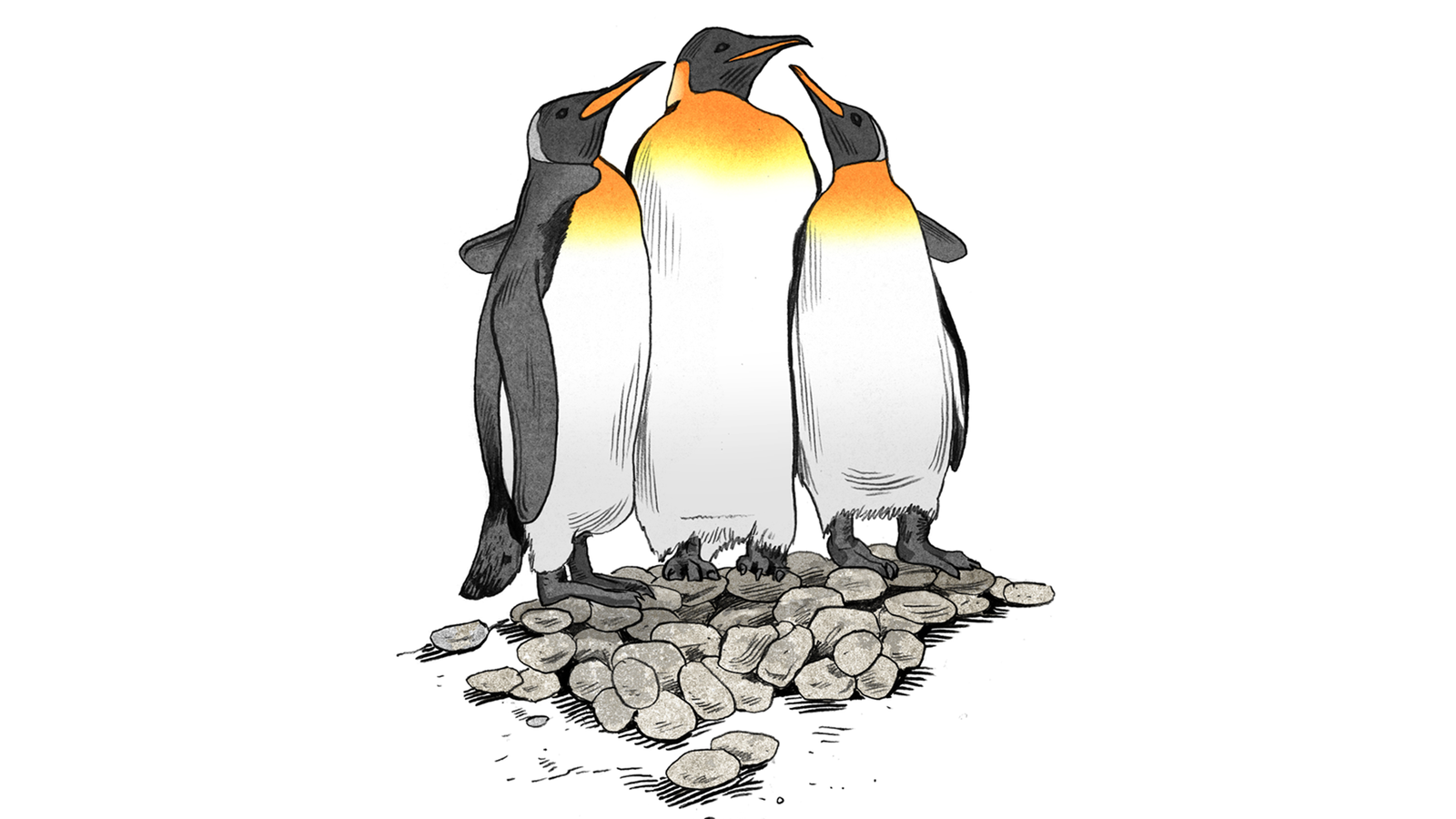 Денежный Пингвин