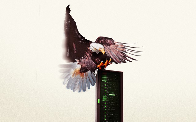 An eagle swooping in on a server
