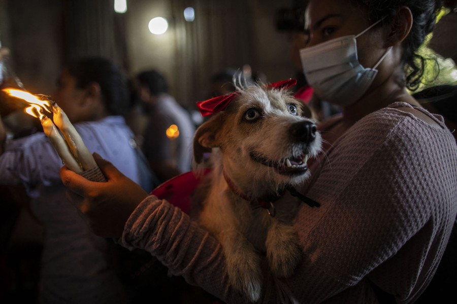 A woman carries several candles and a dog in costume.