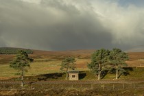 A small cottage stands below gray clouds with sun peeking through.