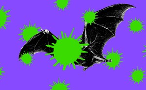 An illustration of a bat surrounded by giant coronaviruses