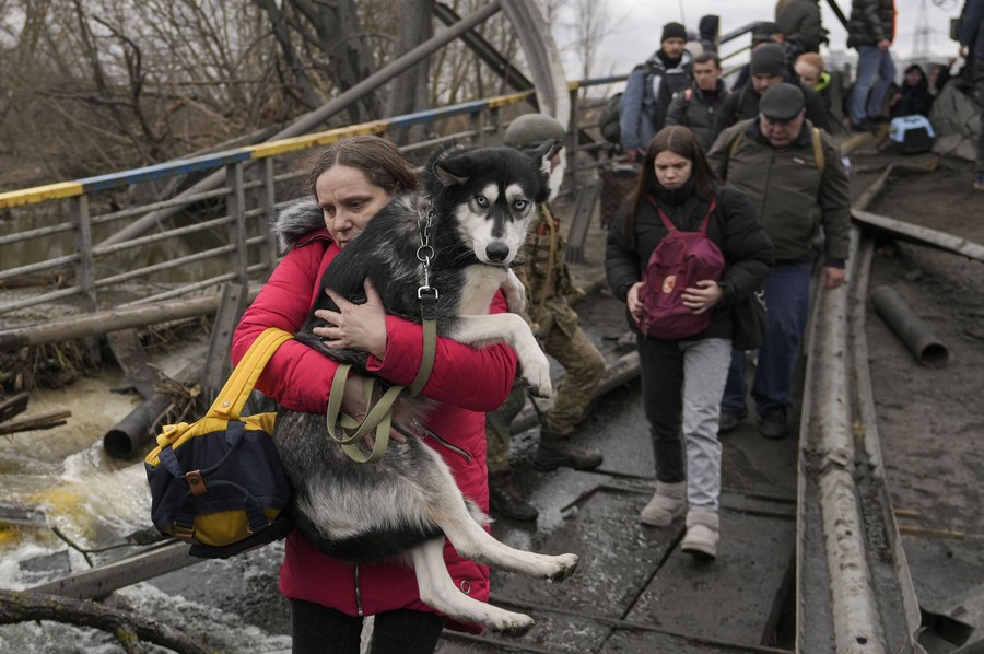 A woman carries a dog while crossing a river on an improvised path under a bridge.