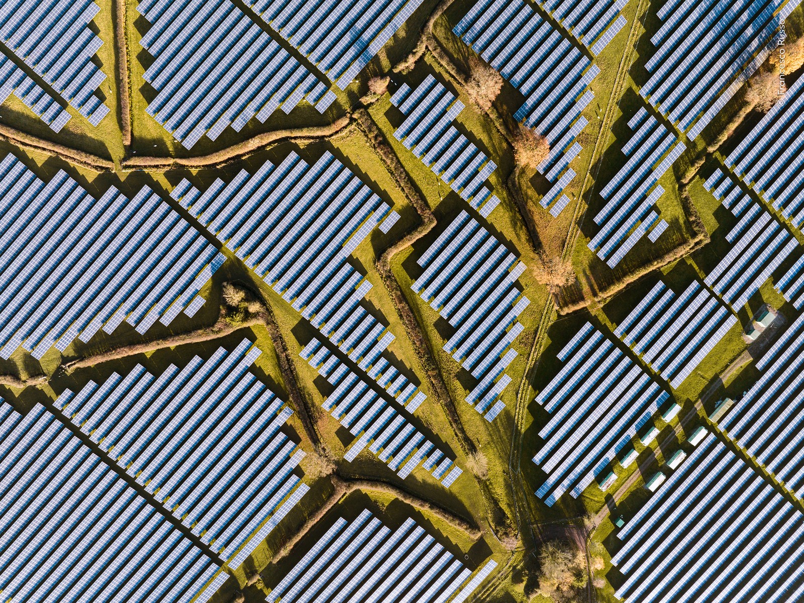 An aerial view of many rows of solar panels, broken up by hedgerows
