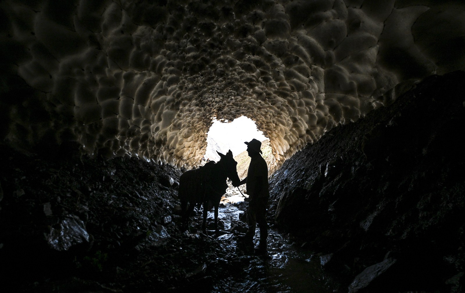A shepherd leading a mule stands in a stream beneath a natural tunnel through melting snow pack.