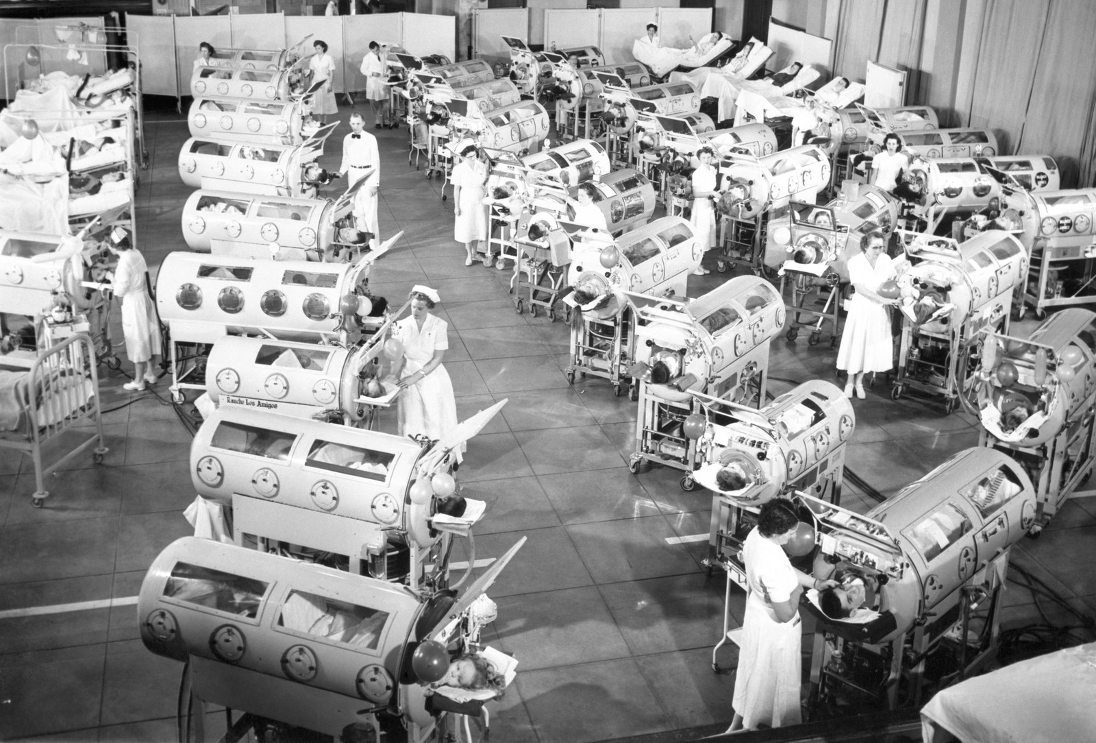 A 1950s-era black-and-white image of a large hospital room filled with at least 30 iron lungs with patients inside them