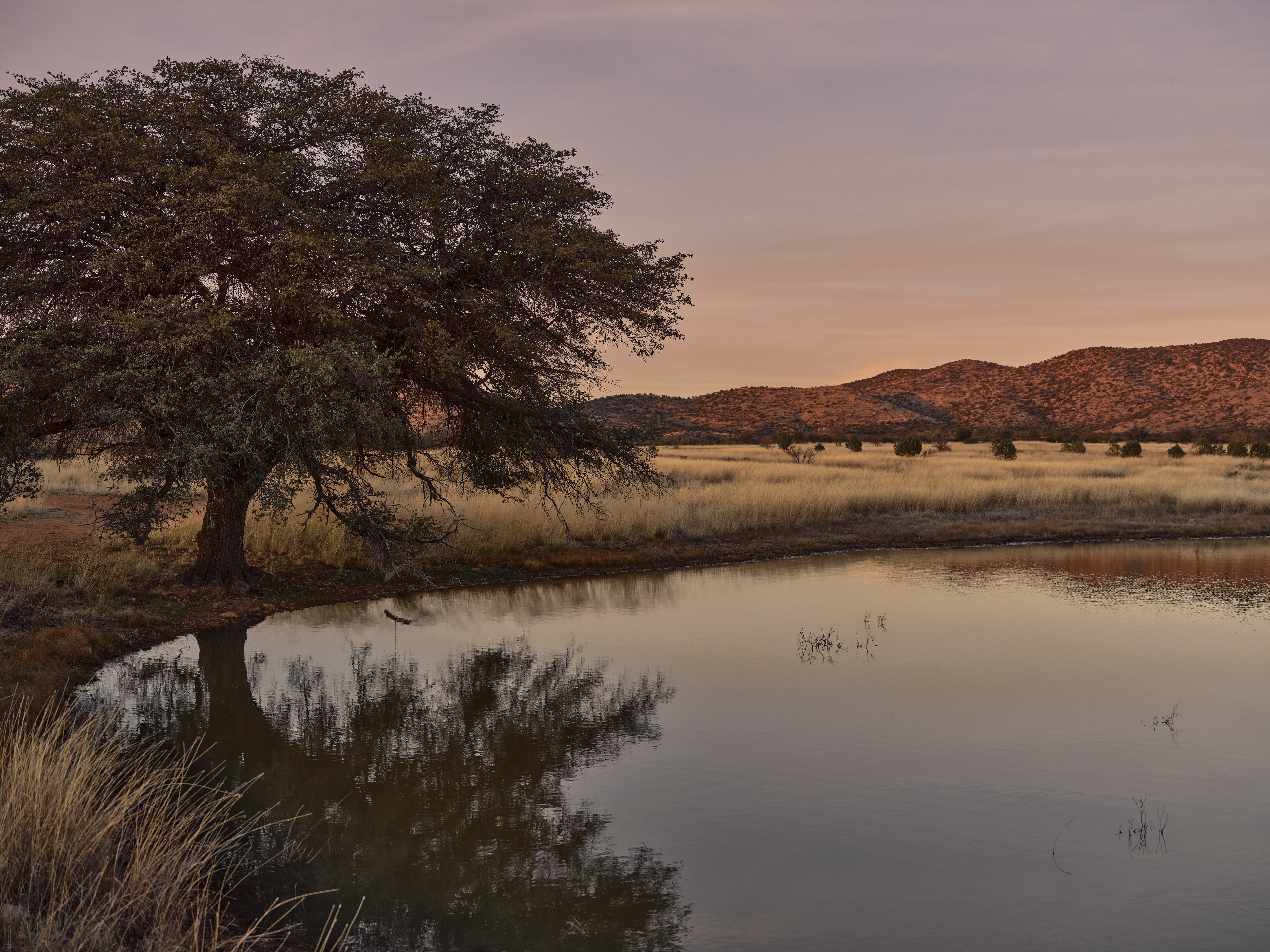 A view of the Peaceful pond in the San Rafael Valley.