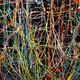 A tangle of colorful computer wires