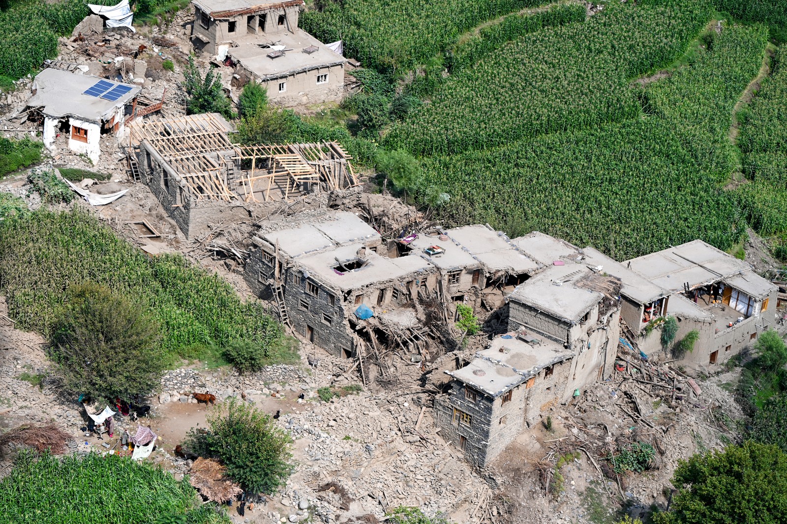 Quake-damaged houses, viewed from a helicopter.