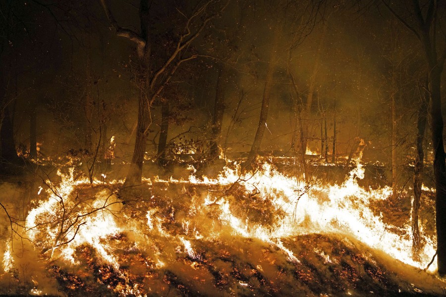 A wildfire burns through part of a forest.