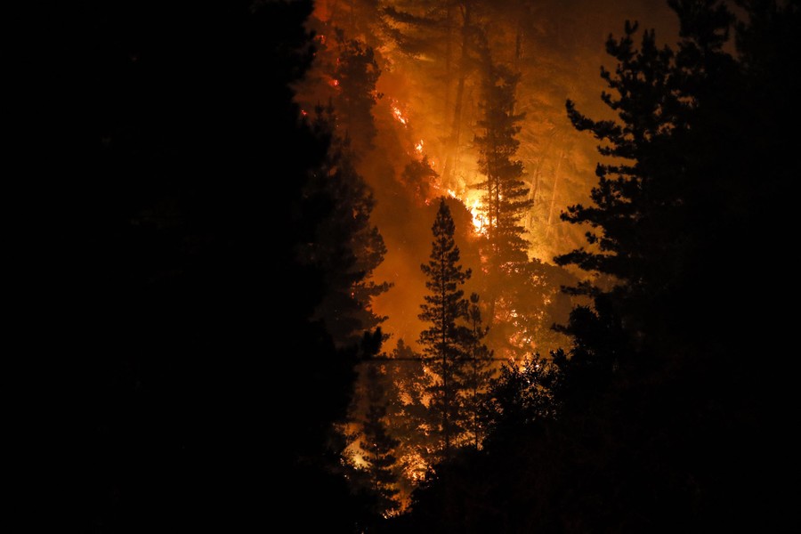 A nighttime view of a fire burning through a forest.