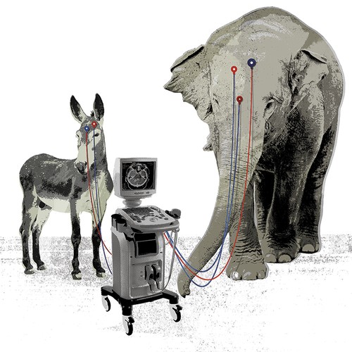How Politics Breaks Our Brains And How We Can Put Them Back Together The Atlantic