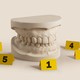 An illustration showing a dental plaster surrounded by evidence markers