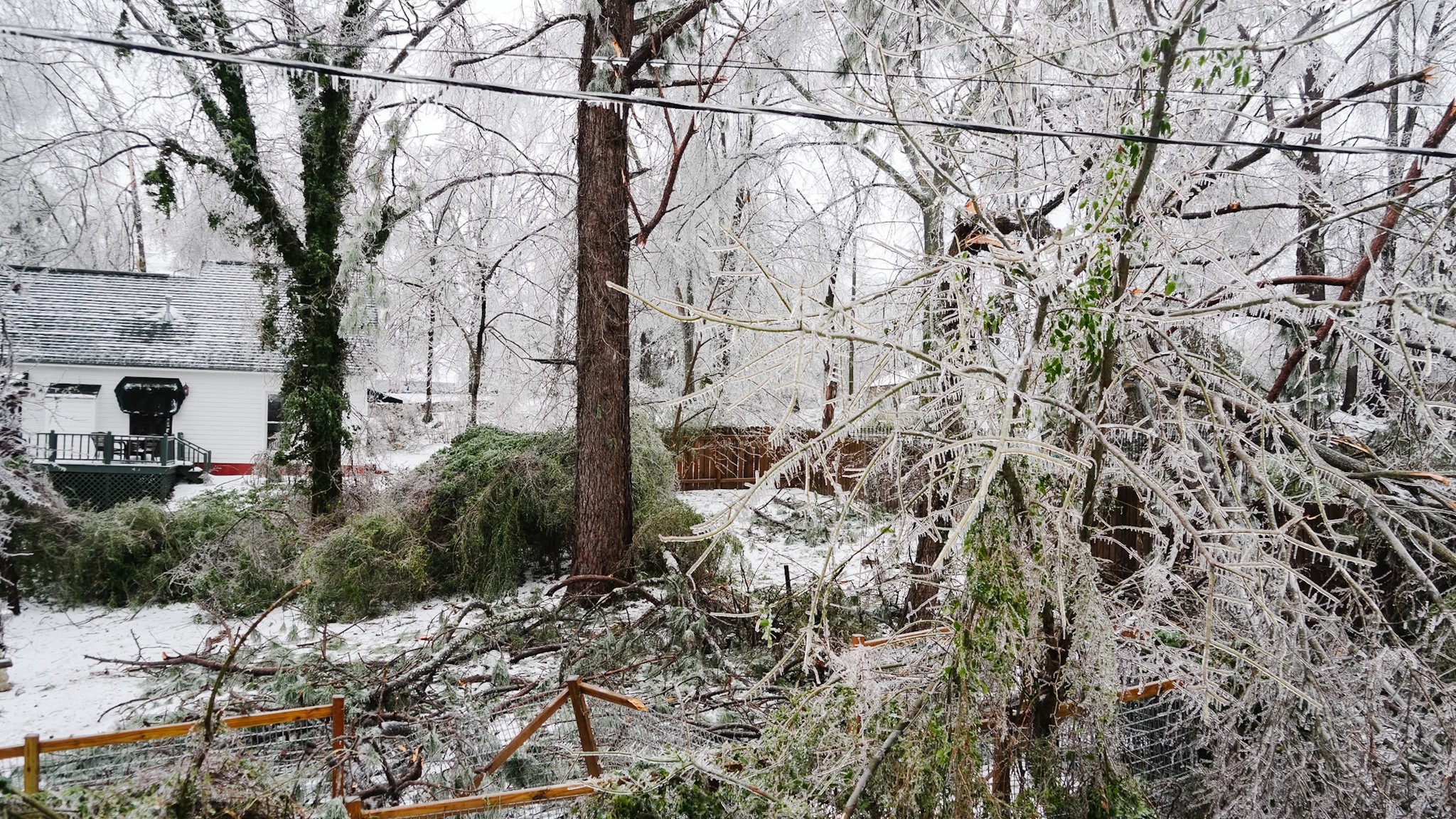 The Storms That Teach What We Can Tolerate
