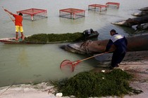 Workers in Basra, Iraq, clean polluted water.