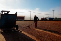 A worker spreads out coffee beans to be dried in the sun on a farm in Guaxupe, Minas Gerais state, Brazil, on Wednesday, June 2, 2021