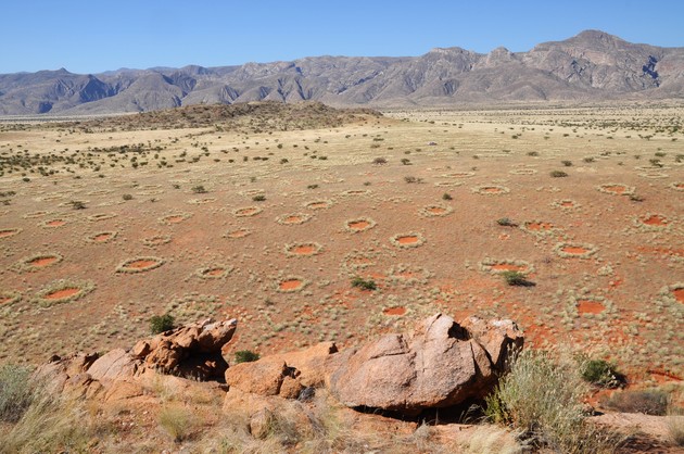 Mystery of 'fairy circles' in Namibia