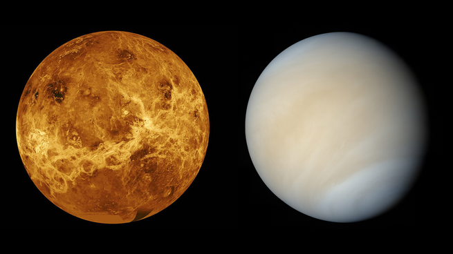 Venus