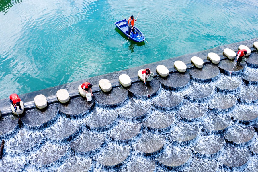Several people stand along a river-crossing pathway, reaching down to gather any trash below.