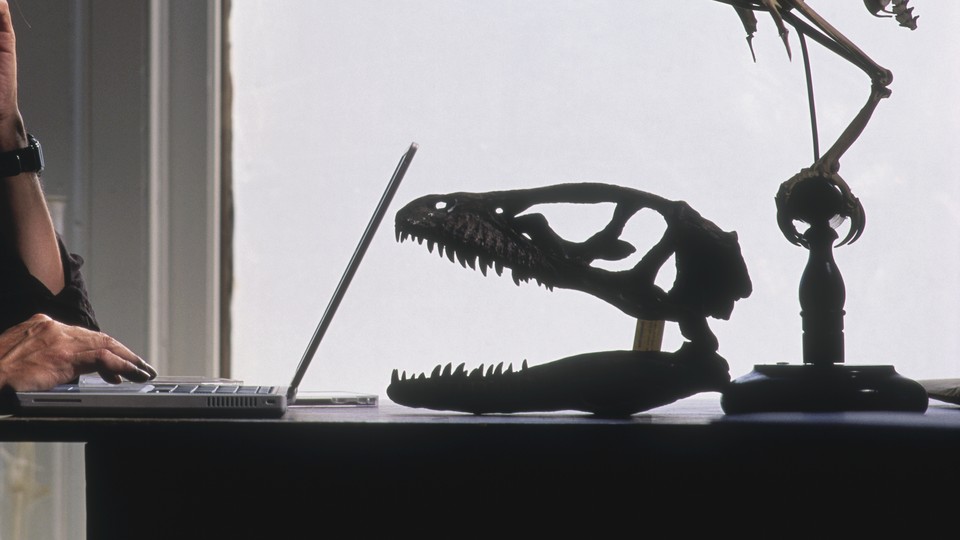 A person uses a laptop computer next to a fossilized dinosaur skull.