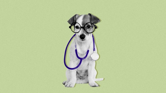 Can dogs detect illness?