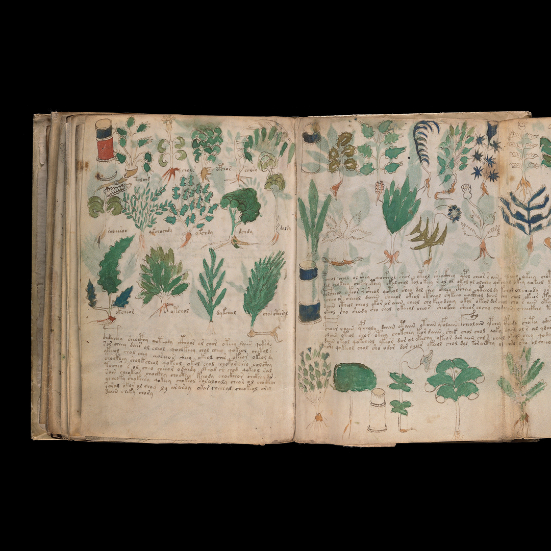 その他 THE VOYNICH MANUSCRIPT Will the Mystery of the Voynich Manuscript Ever Be Solved
