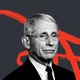 Anthony Fauci