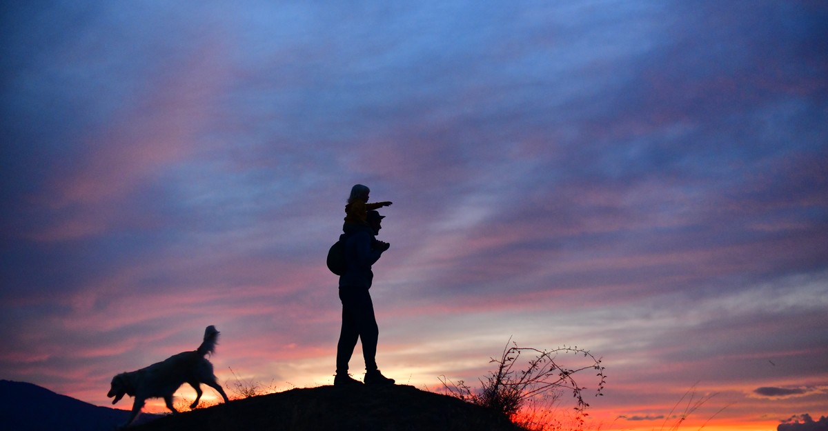 The Shocking Relationship Between Happiness and Intelligence