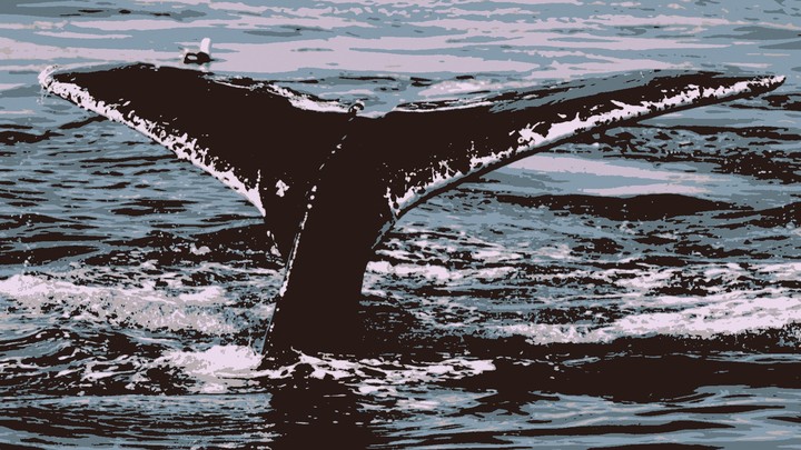 People Can Be Afraid Of Anything The Atlantic
