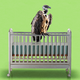 A vulture perched on a cradle