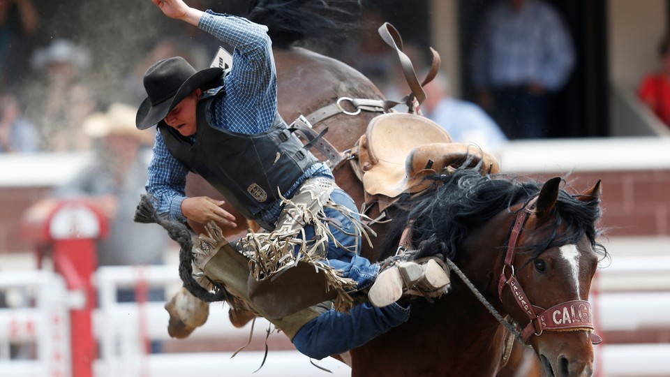 A rider falling off of a bucking horse at a rodeo