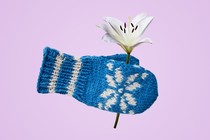 An illustration of a mitten with a flower tucked into it