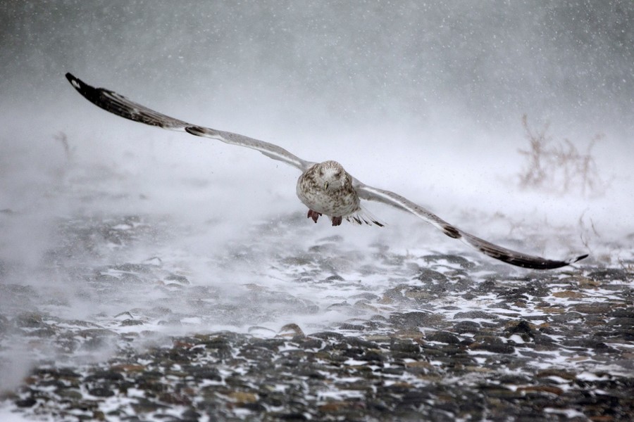 Massachusetts: Images of the Bay State - The Atlantic