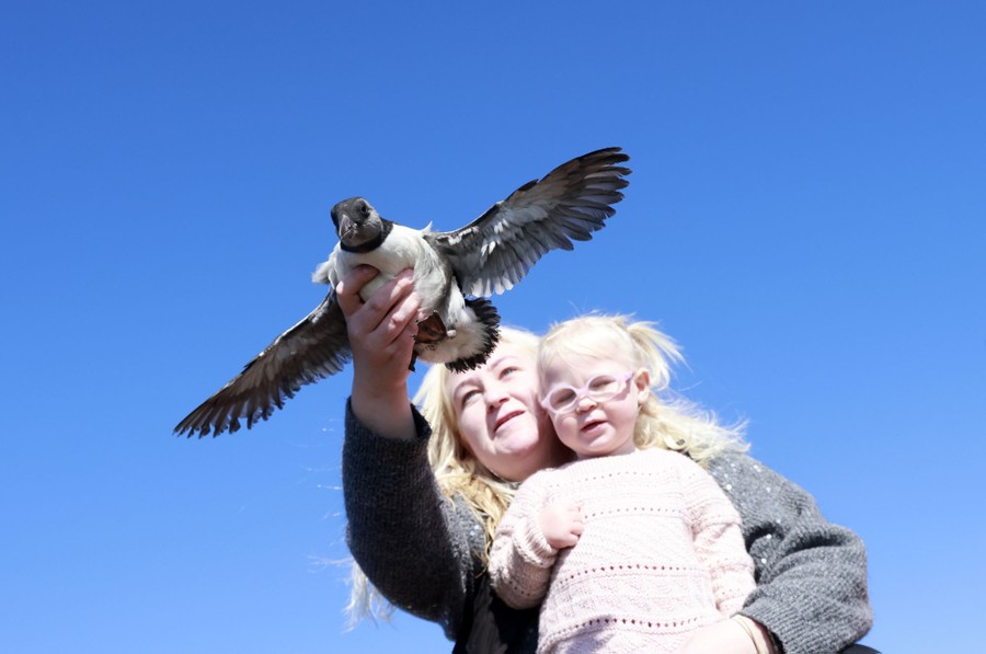 An adult embraces a child while releasing a small bird from one hand.