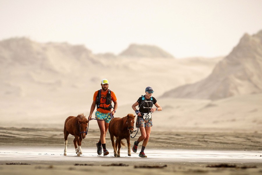 Two people run on a beach, each leading a small pony.