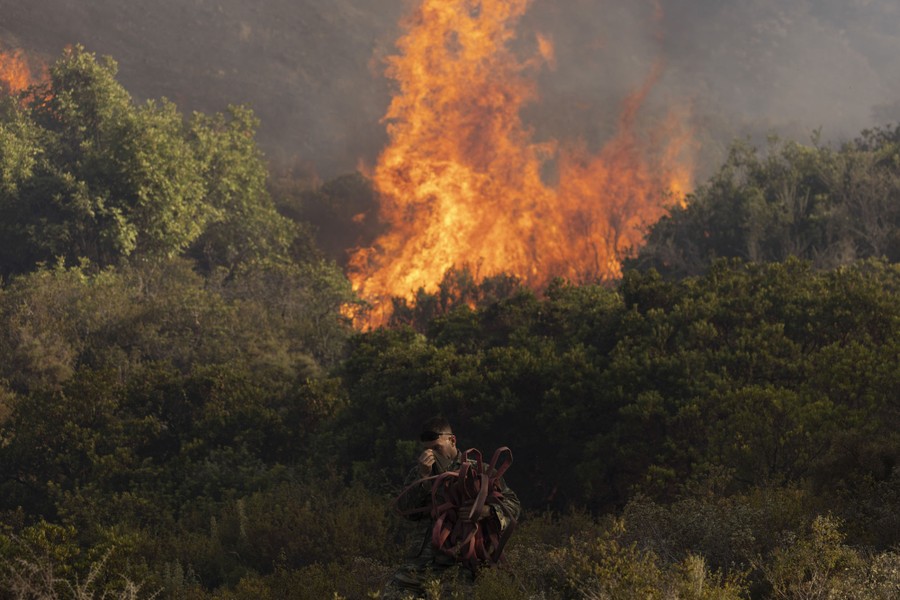 A firefighter carries a bundled hose in front of a wildfire burning bushes behind him.