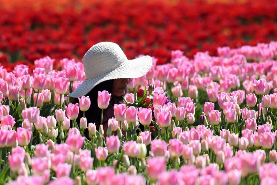 A woman poses among tulips.
