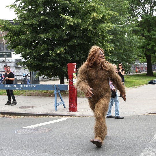 Bigfoot: The Life and Times of a Legend, Buhs