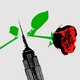 An illustration of the Empire State building and a rose.