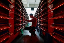 This photo taken on November 14, 2020, shows an employee working in the workshop of a lithium battery manufacturing company in Huaibei, eastern China's Anhui province