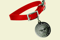 Illustration of a Department of Defense medal attached to a dog collar on a leash