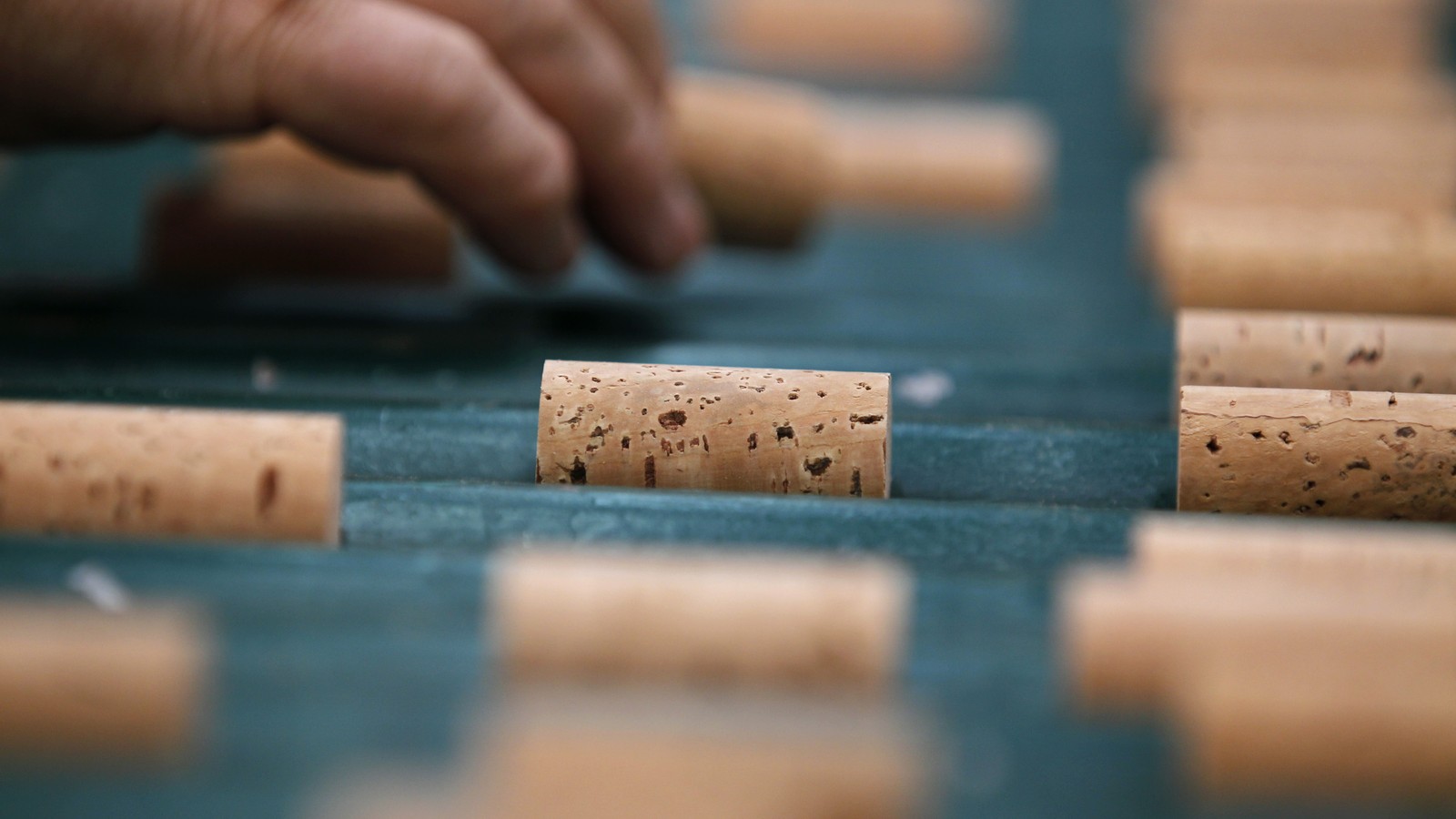 Learn About Wine Corks, How Cork Works, Production, Cork Alternatives