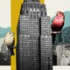 A collage of a male and a female house finch sitting on posts sticking out of a Manhattan high-rise