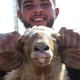 A man carries a sheep at a livestock market.