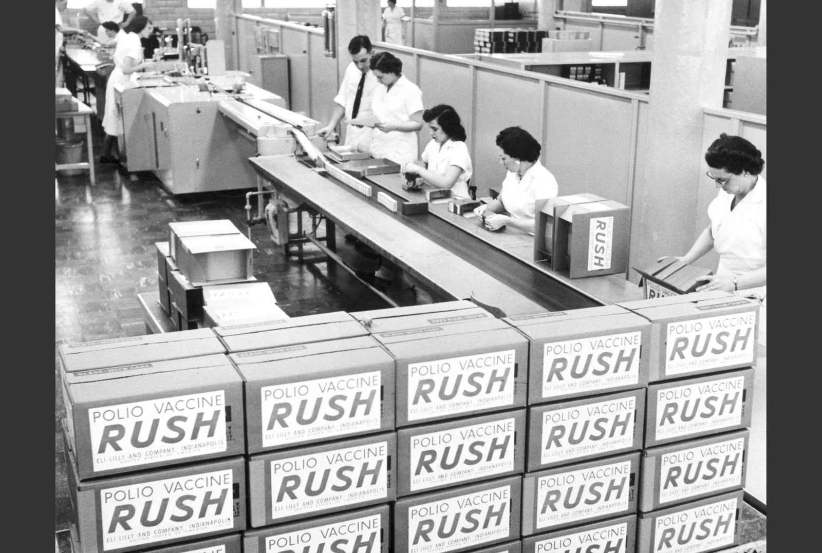 Workers stand along a conveyor belt, packing vials of vaccines into cardboard boxes that are labeled 