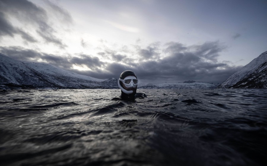 A diver wearing a mask bobs at the surface of an ocean channel, surrounded by snow-capped mountains.