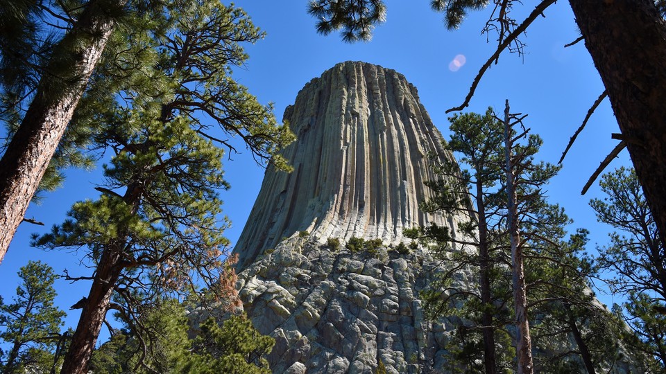 devils tower wyoming roots